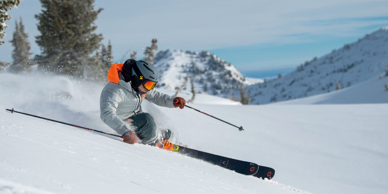 ALPINE SKI POLES